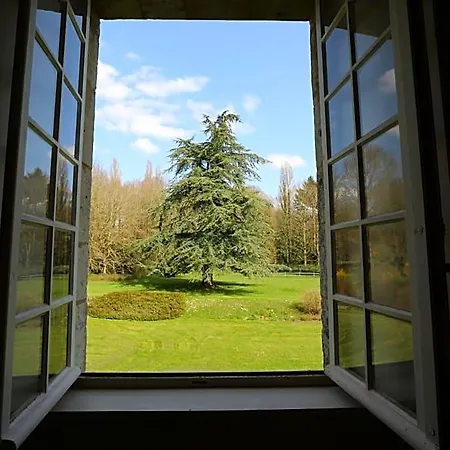 Jaune Manoir De La Vove Perche Couette-café