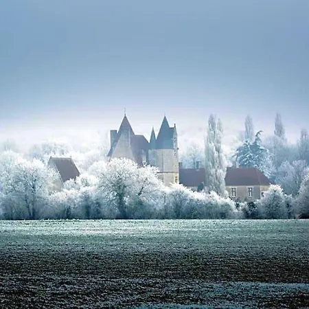Jaune Manoir De La Vove Perche Couette-café 3*