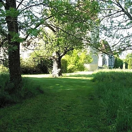 Jaune Manoir De La Vove Perche Corbon (Orne)