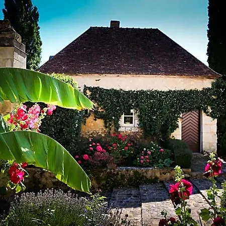 Jaune Manoir De La Vove Perche Couette-café Corbon (Orne)