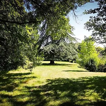 Jaune Manoir De La Vove Perche 3* Corbon (Orne)