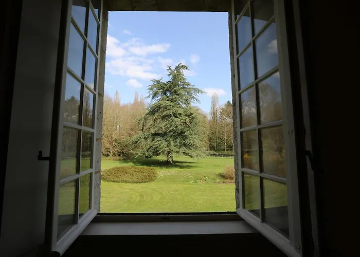 Couette-café Jaune Manoir De La Vove Perche