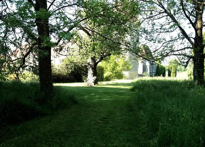 Jaune Manoir De La Vove Perche Couette-café Corbon (Orne)