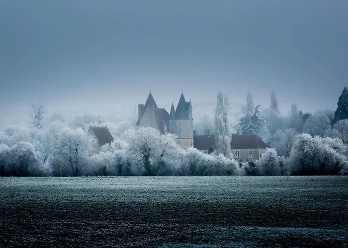 Jaune Manoir De La Vove Perche Couette-café 3*