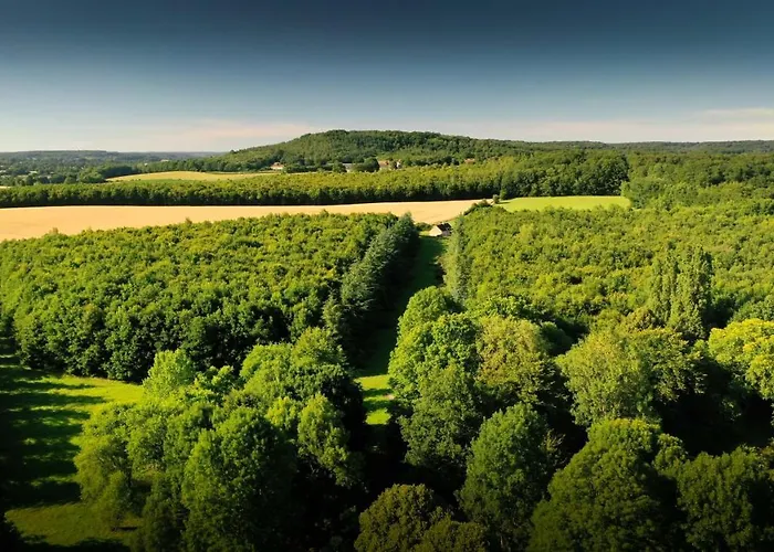 Jaune Manoir De La Vove Perche Corbon (Orne)