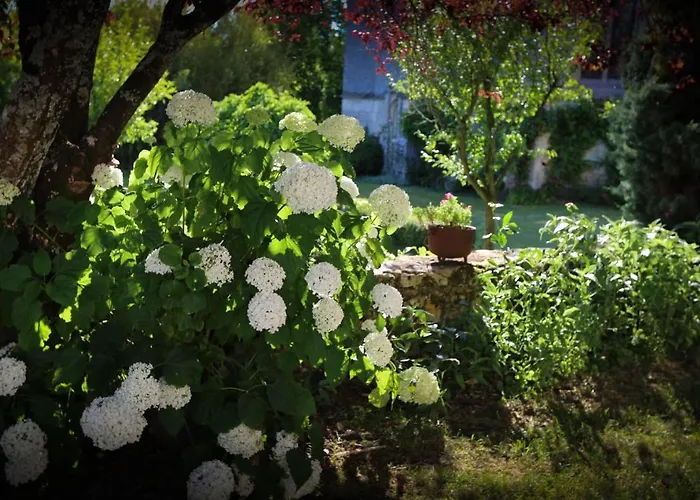 Jaune Manoir De La Vove Perche 3*