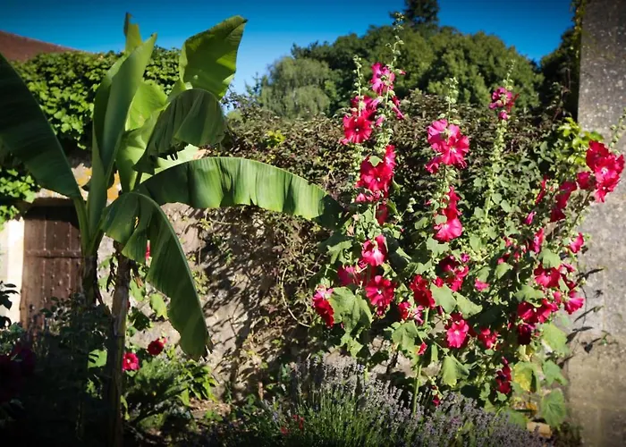 Couette-café Jaune Manoir De La Vove Perche