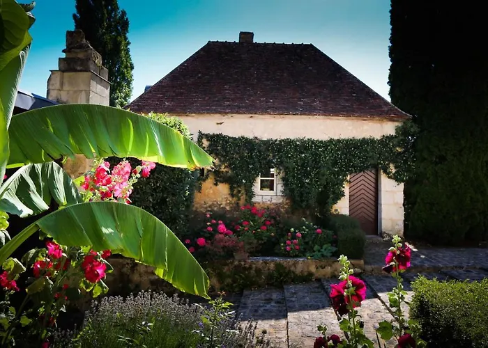 Jaune Manoir De La Vove Perche Couette-café