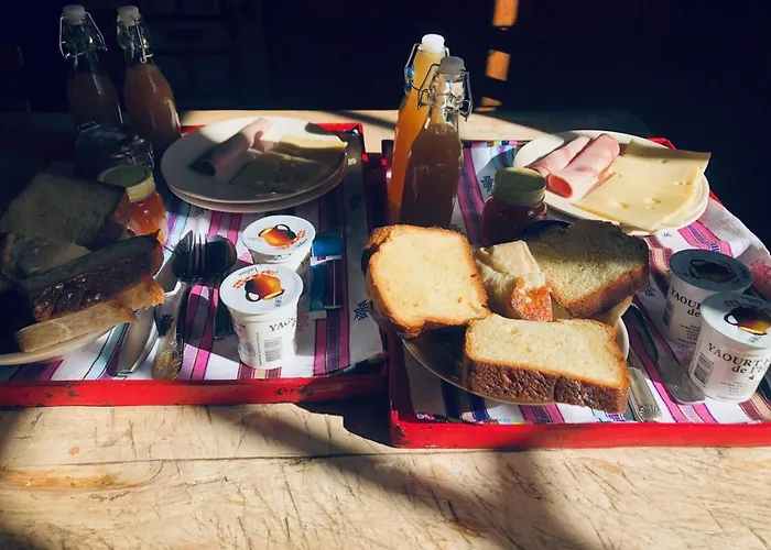 Couette-café Jaune Manoir De La Vove Perche 3*